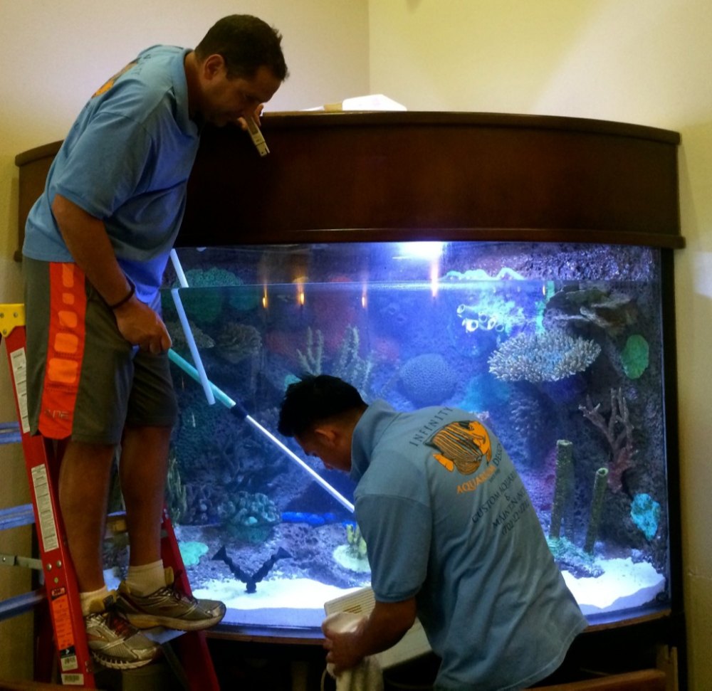 Aquarium Cleaning Services