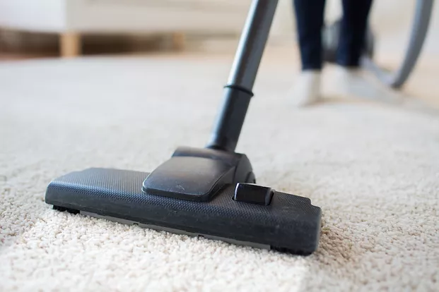 Carpet Cleaning Process