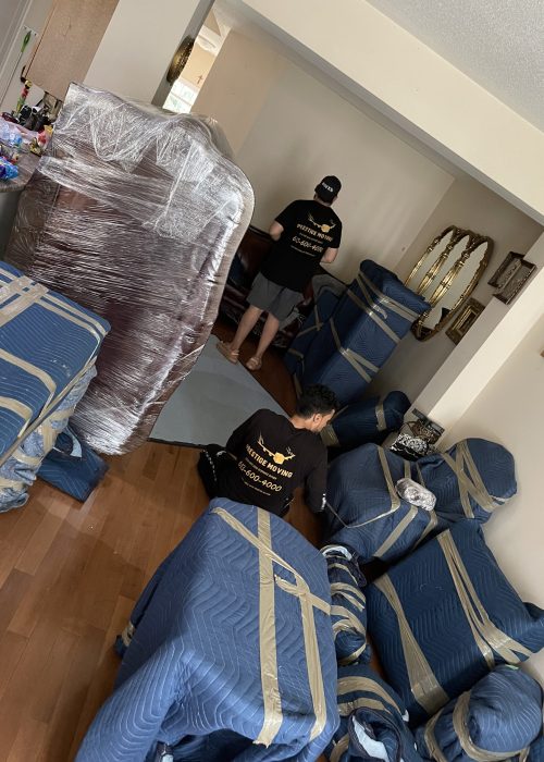 movers in ottawa
